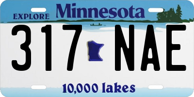 MN license plate 317NAE