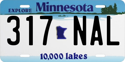 MN license plate 317NAL