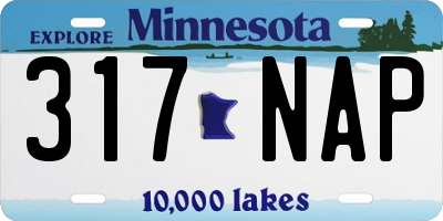MN license plate 317NAP