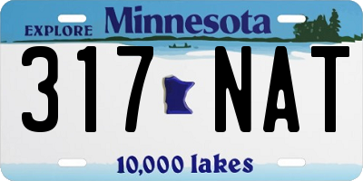 MN license plate 317NAT
