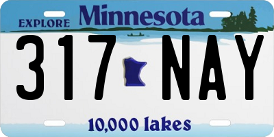 MN license plate 317NAY