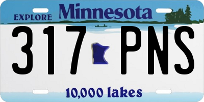MN license plate 317PNS