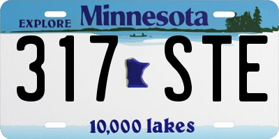 MN license plate 317STE