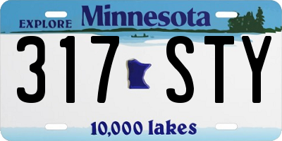 MN license plate 317STY