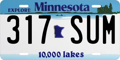 MN license plate 317SUM