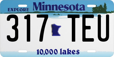 MN license plate 317TEU