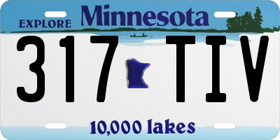 MN license plate 317TIV