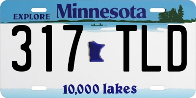 MN license plate 317TLD