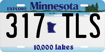 MN license plate 317TLS