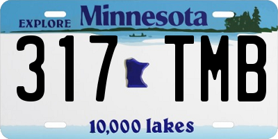 MN license plate 317TMB