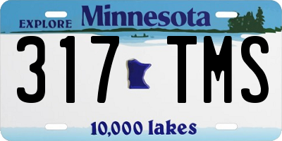 MN license plate 317TMS