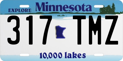 MN license plate 317TMZ