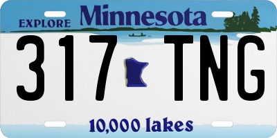 MN license plate 317TNG