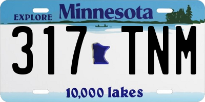 MN license plate 317TNM