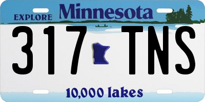 MN license plate 317TNS