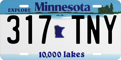 MN license plate 317TNY