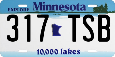 MN license plate 317TSB