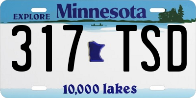 MN license plate 317TSD