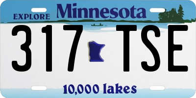 MN license plate 317TSE
