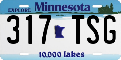MN license plate 317TSG