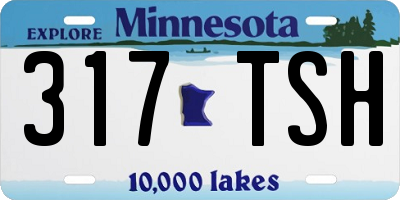 MN license plate 317TSH