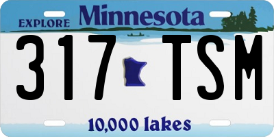 MN license plate 317TSM