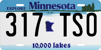 MN license plate 317TSO
