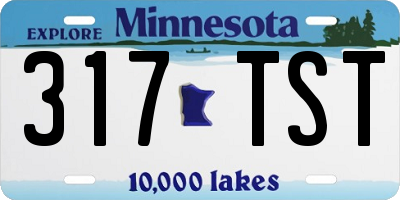 MN license plate 317TST
