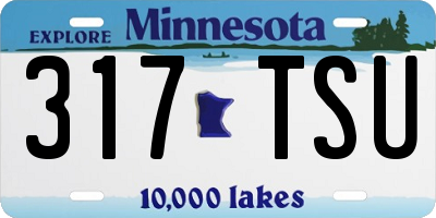 MN license plate 317TSU
