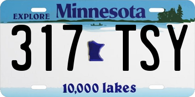 MN license plate 317TSY