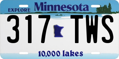 MN license plate 317TWS