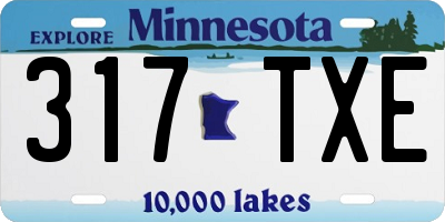 MN license plate 317TXE