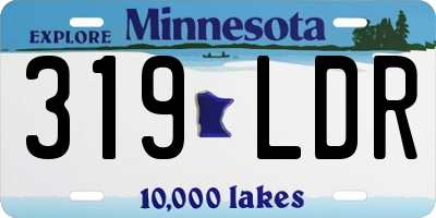 MN license plate 319LDR