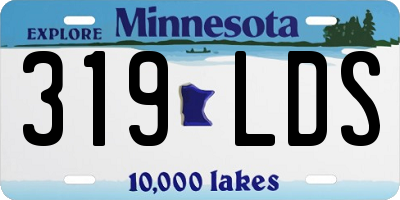 MN license plate 319LDS