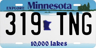 MN license plate 319TNG