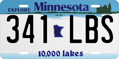 MN license plate 341LBS