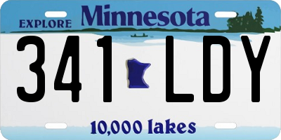 MN license plate 341LDY