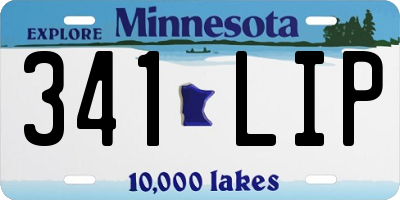 MN license plate 341LIP