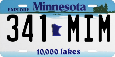 MN license plate 341MIM