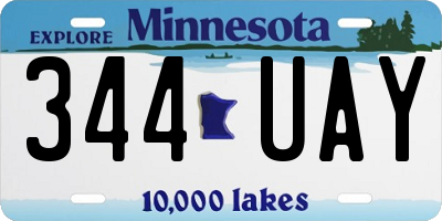 MN license plate 344UAY