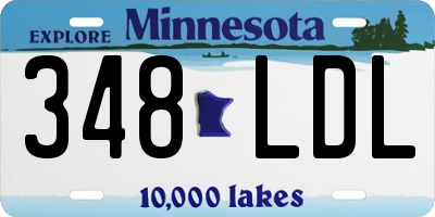 MN license plate 348LDL