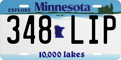 MN license plate 348LIP