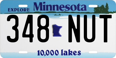 MN license plate 348NUT