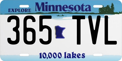 MN license plate 365TVL