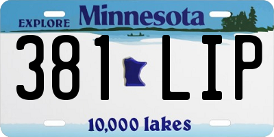 MN license plate 381LIP