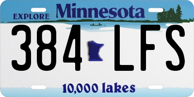 MN license plate 384LFS