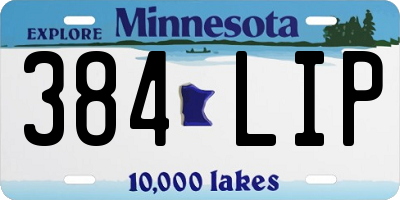 MN license plate 384LIP