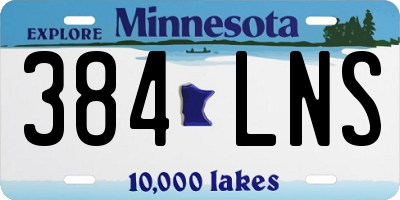 MN license plate 384LNS