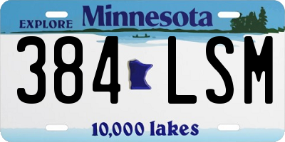 MN license plate 384LSM