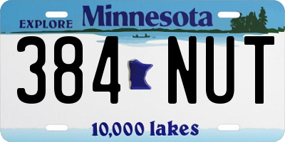 MN license plate 384NUT